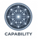 capability